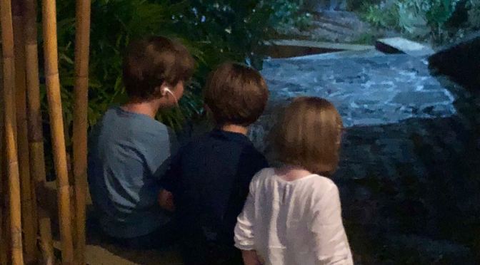 Noël avec les cousins